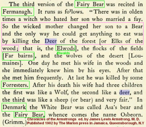 Sagas of Fairy Bear (5)