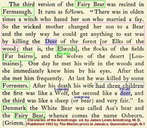 Sagas of Fairy Bear (5)