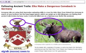 elg-elk-moose Kerr