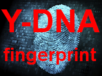 Y-DNA fingerprint