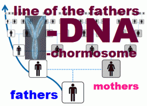 line of fathers Y-DNA chromosome